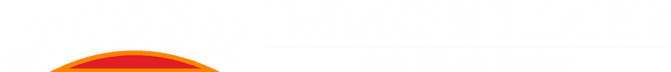 Logo Domus Immobiliare